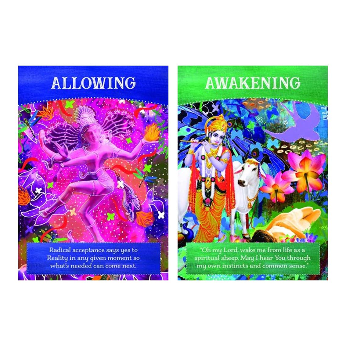 Amazon.co.jp: Kancharo オラクルカード 52 枚 タロット占い